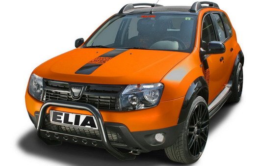 Elia Duster 1.jpg, 48 KB