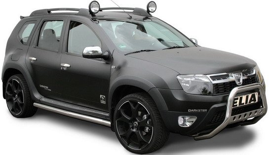 Elia Duster 11.jpg, 41 KB