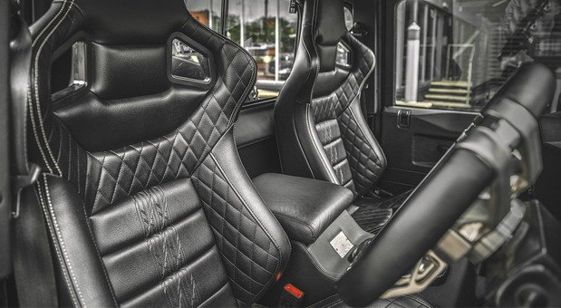 Flying Huntsman Longnose-6.jpg, 78 KB