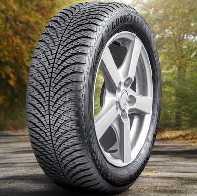 Goodyear pneumatik Vector 4Seasons Gen-2.jpg, 78 KB