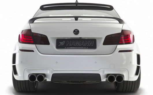 Hamann m5 111.jpg, 33 KB