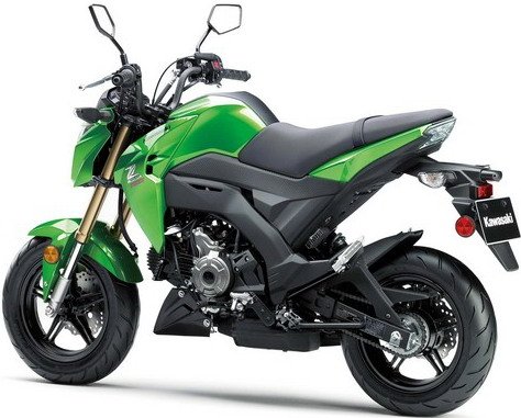 Kawasaki-Z125-Pro-3.jpg, 55 KB