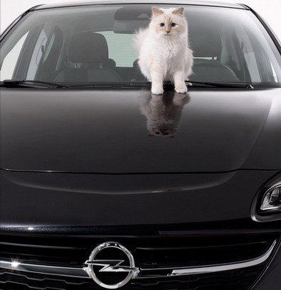 Lagerfeld_ekskluzivni_kalendar2.jpg, 32 KB