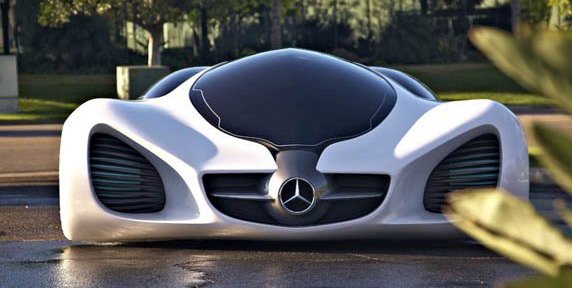 Mercedes biome 1.jpg, 46 KB