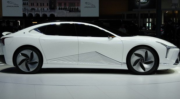 Neta Eureka 111.jpg, 46 KB