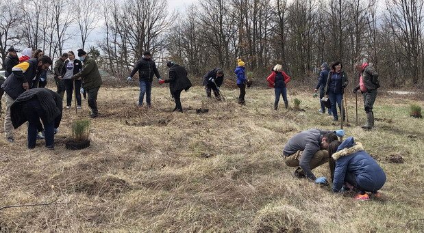 OMV Srbija.jpg, 117 KB