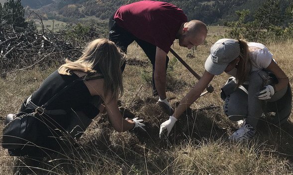 OMV posumljavanje_1.jpg, 90 KB