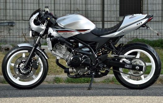 Suzuki-SV650-Rally-koncept-4.jpg, 76 KB
