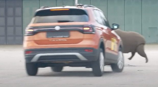 adac test.jpg, 37 KB