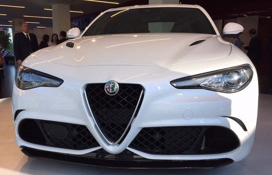 alfa g 398.jpg, 48 KB