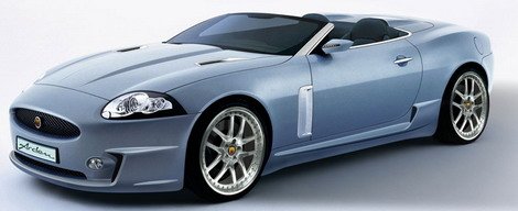 arden aj 20 11 spider.jpg, 25 KB