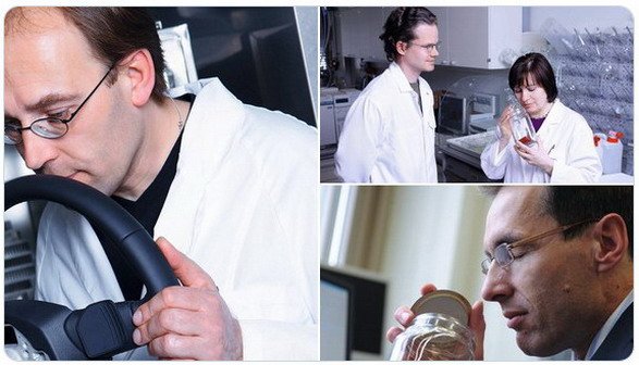 audi nose.jpg, 62 KB