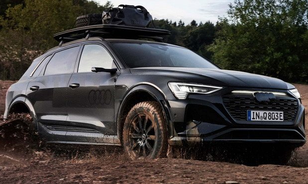 audi q8 1333.jpg, 85 KB