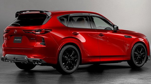 auto exe 11.jpg, 55 KB