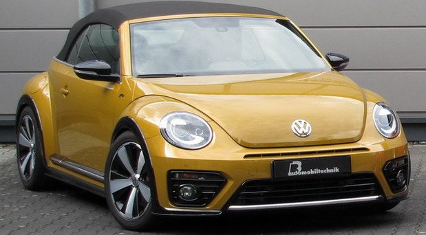 bb beetle 1.jpg, 57 KB