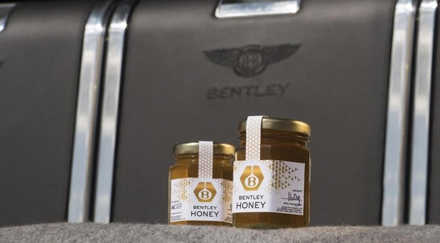 bentley med 1.jpg, 40 KB