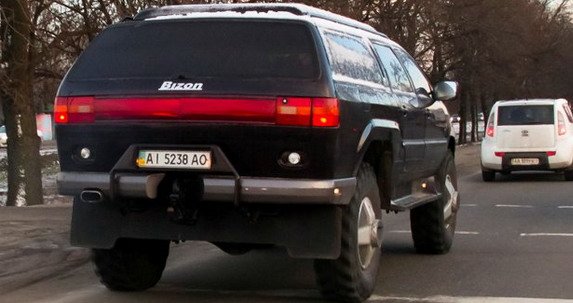 bizon 1.jpg, 49 KB