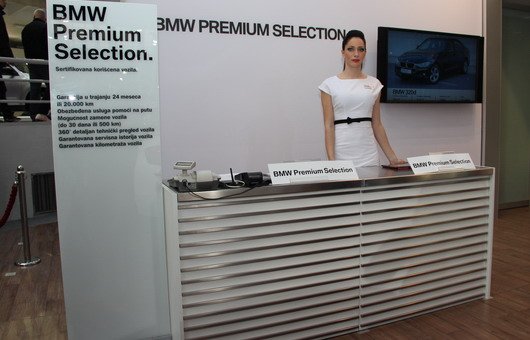 bmw bps.jpg, 64 KB