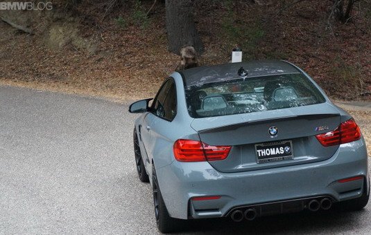 bmw m4 544.jpg, 66 KB