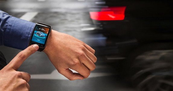 bmw-valet-remote 1.jpg, 39 KB
