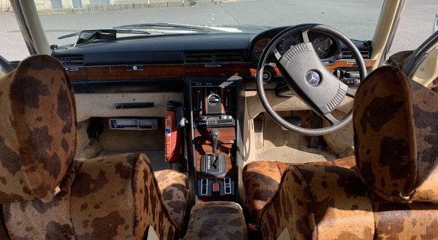 bono 1111.jpg, 75 KB