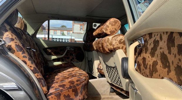 bono 11111.jpg, 78 KB