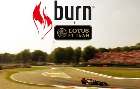 burn lotus.jpg, 44 KB