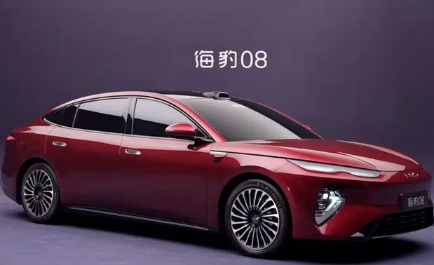 byd 08 1.jpg, 44 KB