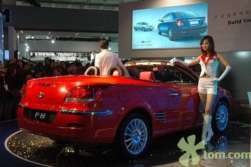 byd f8 11 .jpg, 35 KB