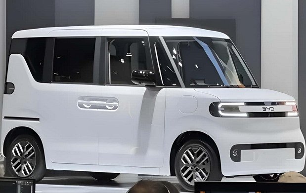 byd racoo 2.jpg, 53 KB