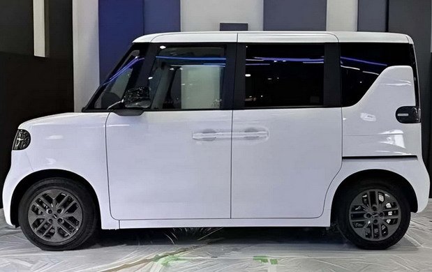byd racoo 21.jpg, 52 KB