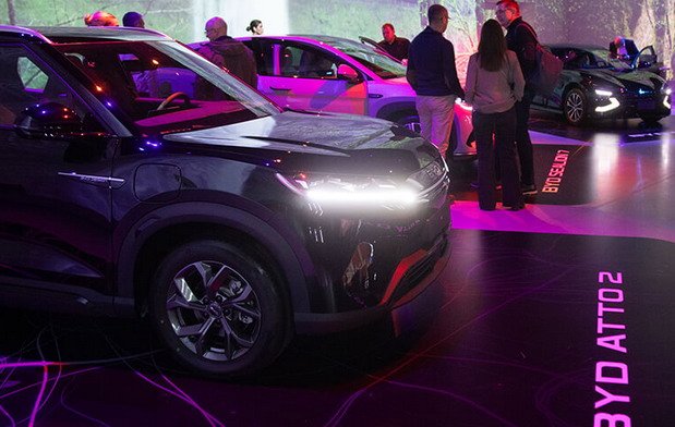 byd stb 11.jpg, 74 KB