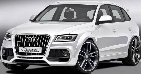 caractere q5 1.jpg, 46 KB