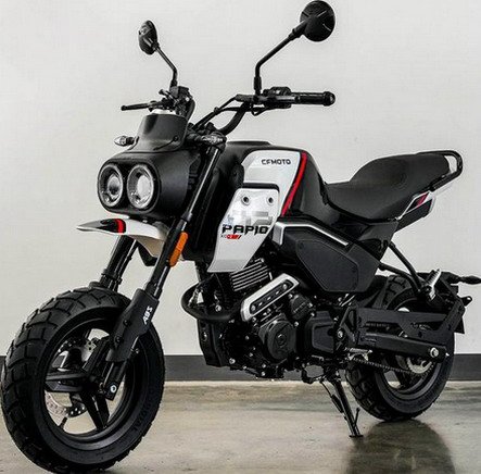 cfmoto-papio-xo.jpg, 57 KB