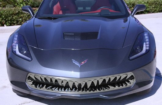 chevrolet shark 111.jpg, 50 KB
