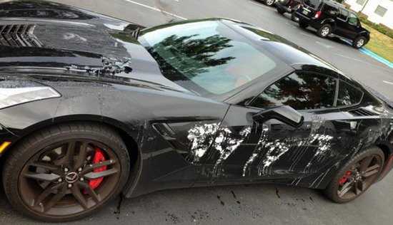 chevrolet-corvette-stingray-posut-kiselinom.jpg, 62 KB