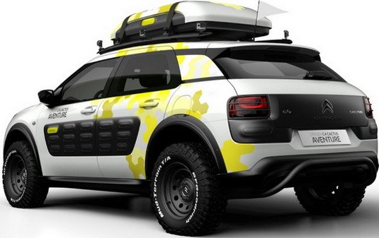 citroen cactus 3.jpg, 43 KB