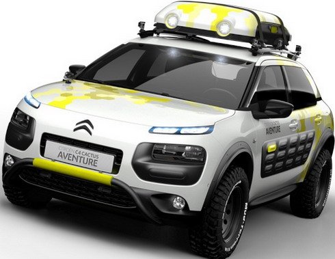 citroen cactus 31.jpg, 46 KB
