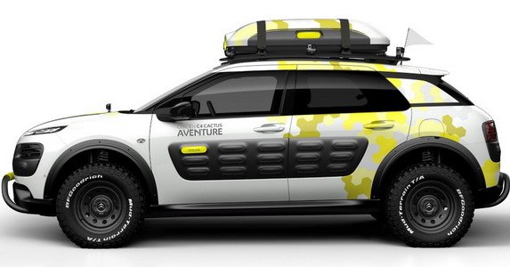 citroen cactus 3111.jpg, 39 KB