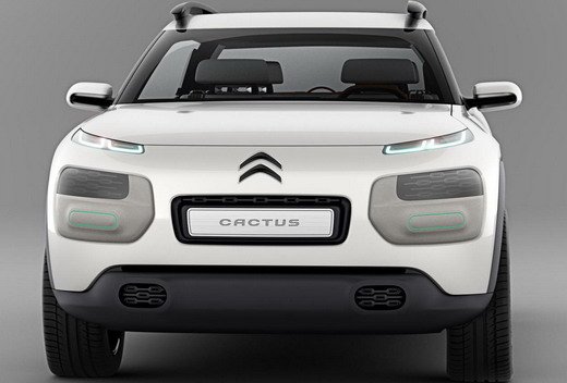 citroen cactus 355.jpg, 34 KB