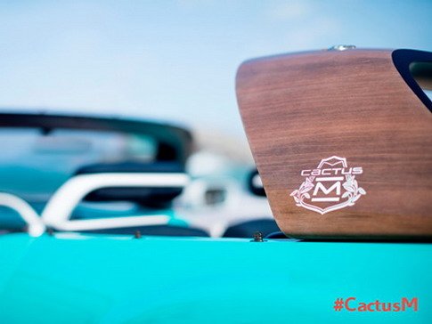 citroen cactus m 11123.jpg, 32 KB