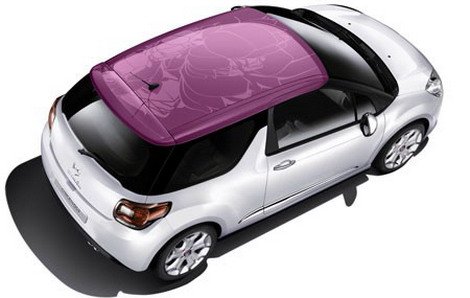 citroen ds3 flower.jpg, 32 KB