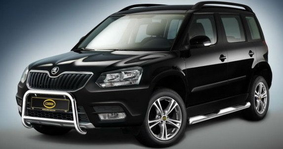 cobra yeti 1.jpg, 42 KB