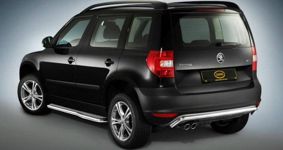 cobra yeti 11.jpg, 38 KB