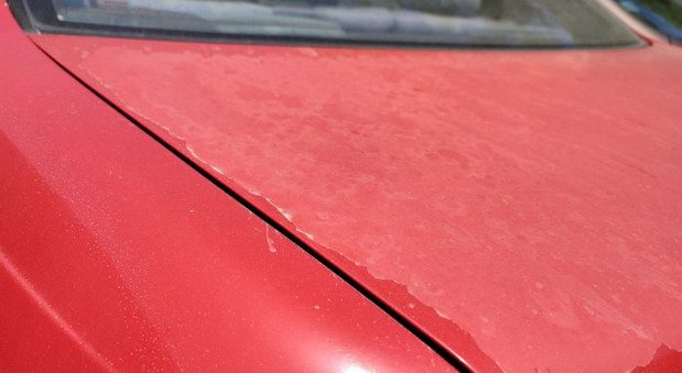 crvena boja.jpg, 43 KB