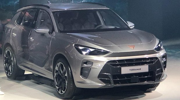 cupra t 11.jpg, 69 KB