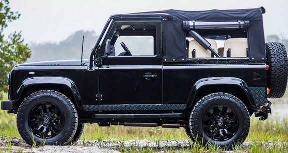 defender-honey 11.jpg, 65 KB