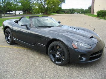 dodge viper 1 Snakeskin .jpg, 40 KB