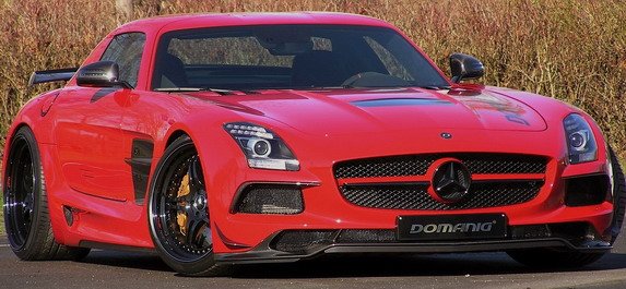 domanig 1.jpg, 65 KB