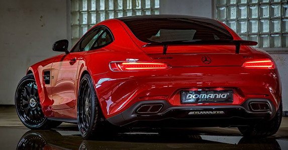 domanig amg 111.jpg, 68 KB